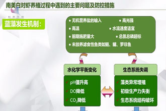图虫创意-918343765483978887.jpg