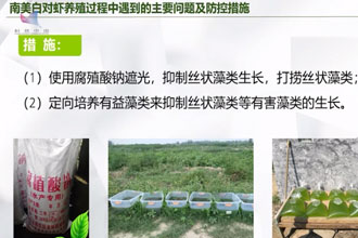 图虫创意-918343765483978887.jpg
