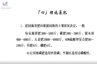 未标题-1.jpg