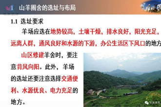 未标题-1.jpg