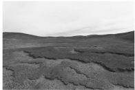 W020210112596508741666.jpg