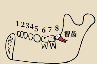 未标题-1.jpg