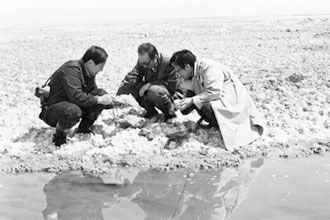 未标题-1.jpg