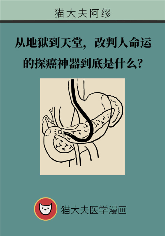 哪些人需要查胰腺癌？如何查？指南来了！