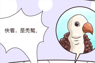 未标题-1.jpg