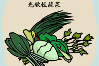 未标题-1.jpg