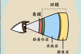 未标题-1-恢复的.jpg