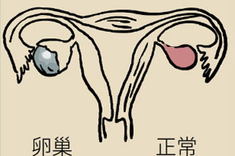 未标题-1.jpg