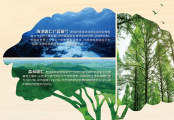 未标题-1.jpg