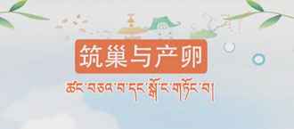 未标题-1.jpg
