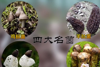未标题-1.jpg