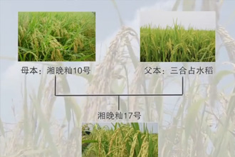 未标题-1.jpg