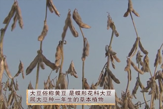 未标题-1.jpg