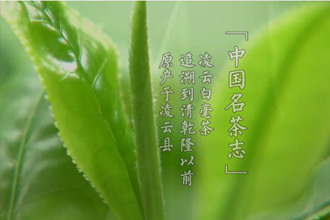 未标题-1.jpg